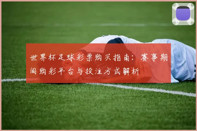 世界杯足球彩票购买指南：赛事期间购彩平台与投注方式解析