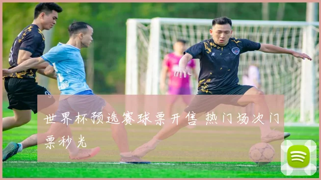 世界杯预选赛球票开售 热门场次门票秒光