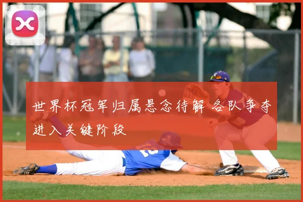 世界杯冠军归属悬念待解 各队争夺进入关键阶段