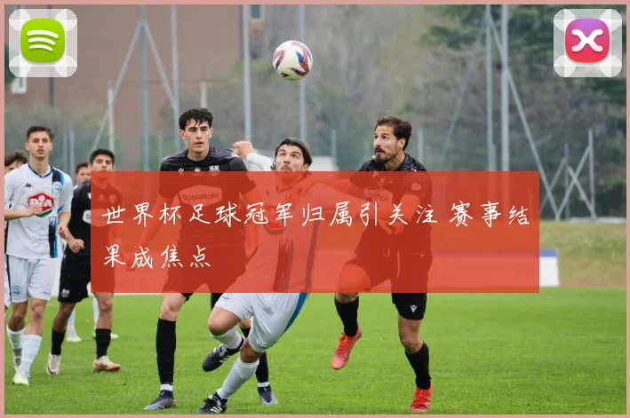 世界杯足球冠军归属引关注 赛事结果成焦点