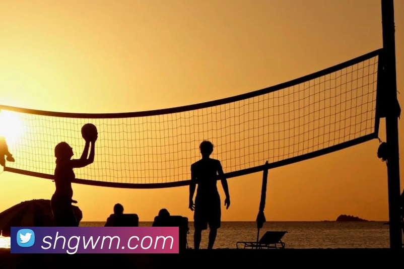 世界杯官网登录app发展历程